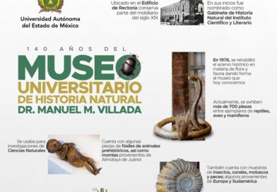 Cuenta UAEMéx con 140 años de historia natural, a través del Museo Universitario “Dr. Manuel M. Villada”
