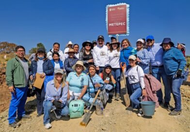 Gobierno del EdoMéx celebra el “Día del Amor y la Amistad por el Bosque” con jornada de reforestación