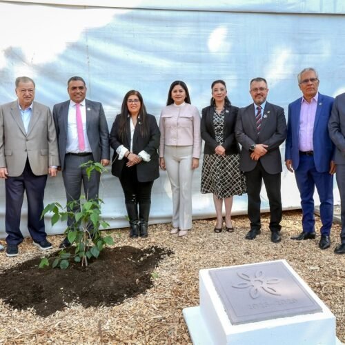 UAEMéx lleva educación superior a regiones históricamente desatendidas