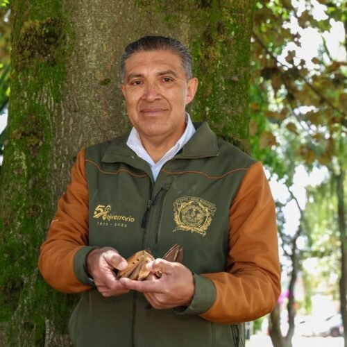 UAEMéx, referente nacional en la conservación del Árbol de las Manitas
