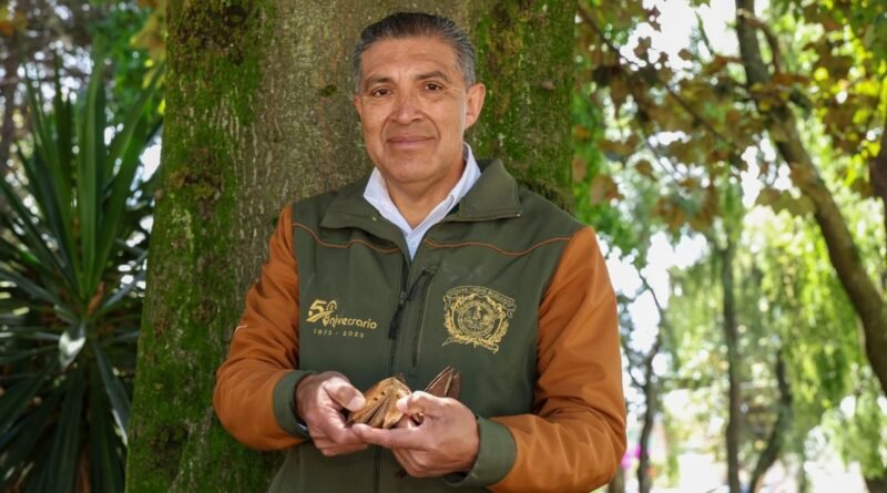UAEMéx, referente nacional en la conservación del Árbol de las Manitas