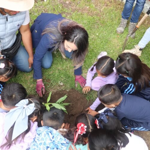 Impulsa Toluca ambicioso programa de recuperación de pulmones verdes en la ciudad