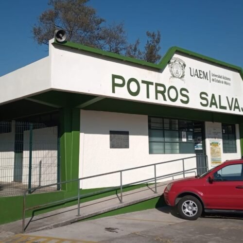 UAEMéx se deslinda de presunto coach involucrado en incidente tras final de Potros Salvajes