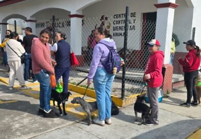Impulsa Ricardo Moreno servicios de bienestar animal en zona Norte de Toluca