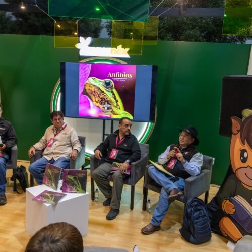 UAEMéx lleva a la FILEM un viaje por el mundo de los anfibios mexiquenses