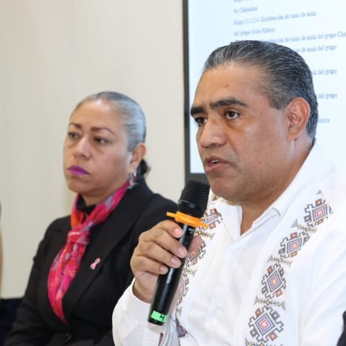 *UAEMéx vincula investigación y saberes ancestrales para proteger el maíz nativo*
